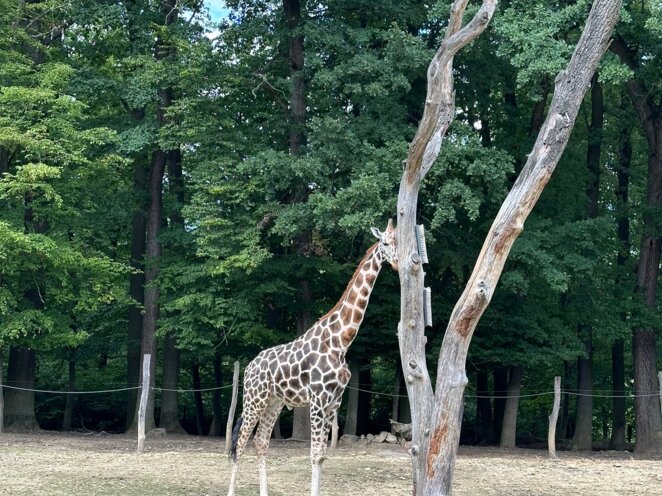 ZOO Zlín 09/2023