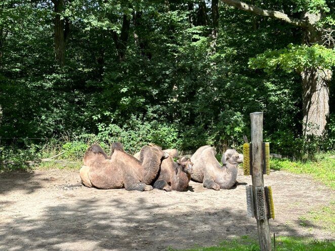 ZOO Zlín 09/2023