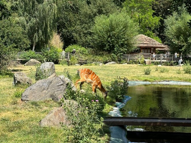 ZOO Praha 07/2023