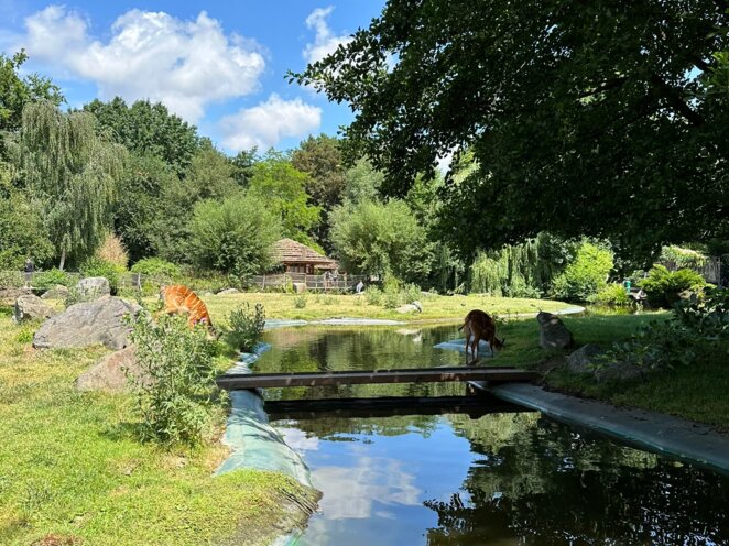 ZOO Praha 07/2023