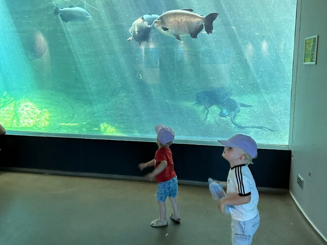 ZOO Norimberk 07/2023
