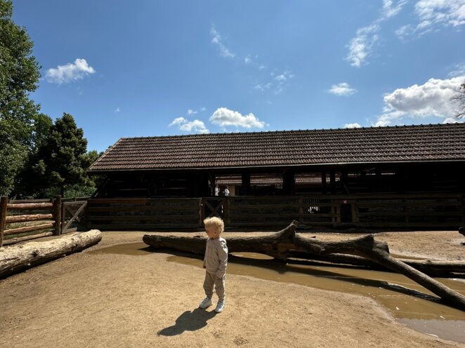 ZOO Praha 07/2023