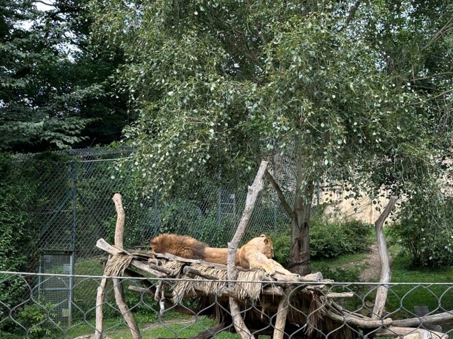 ZOO Zlín 09/2023