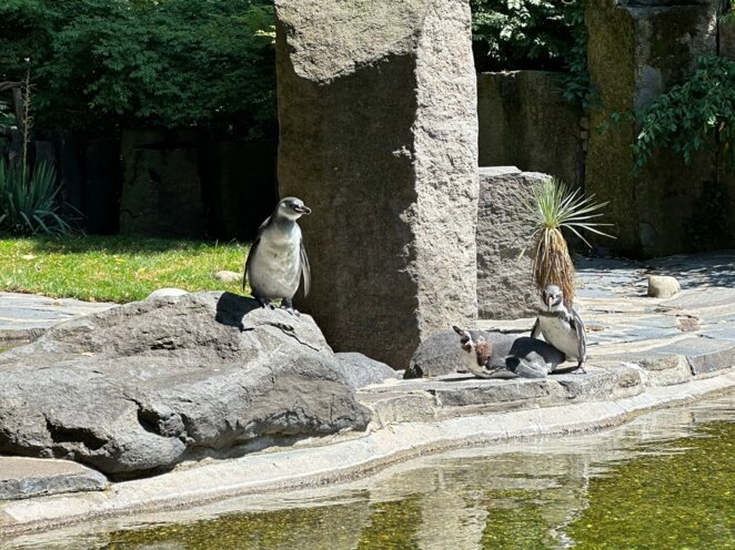 ZOO Praha 07/2023
