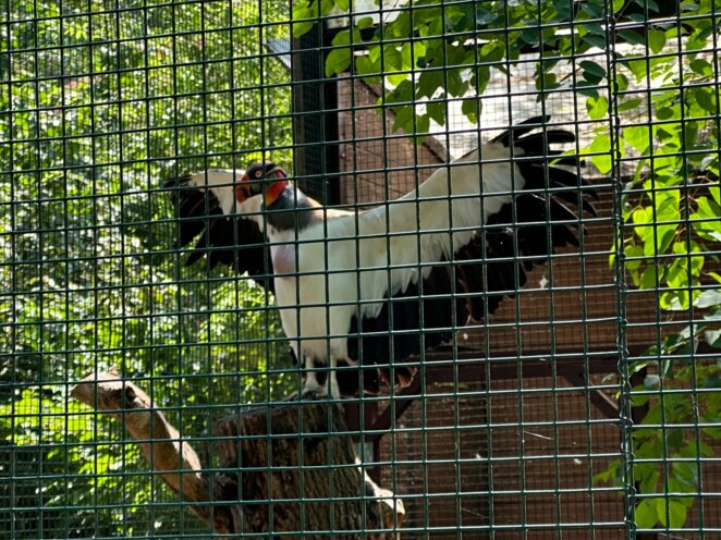 ZOO Praha 07/2023