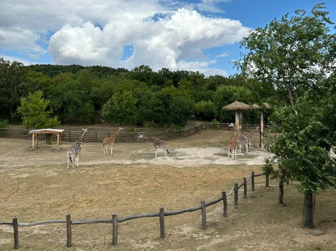 ZOO Praha 07/2023